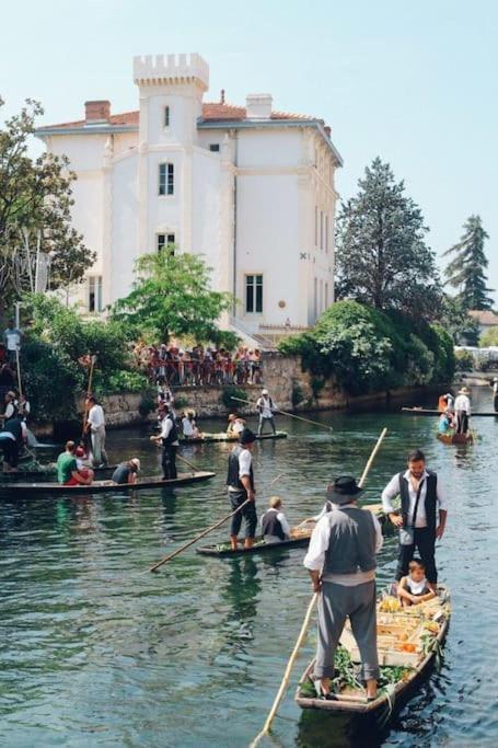Chez Franck Et Gisele Appartement LʼIsle-sur-la-Sorgue Buitenkant foto